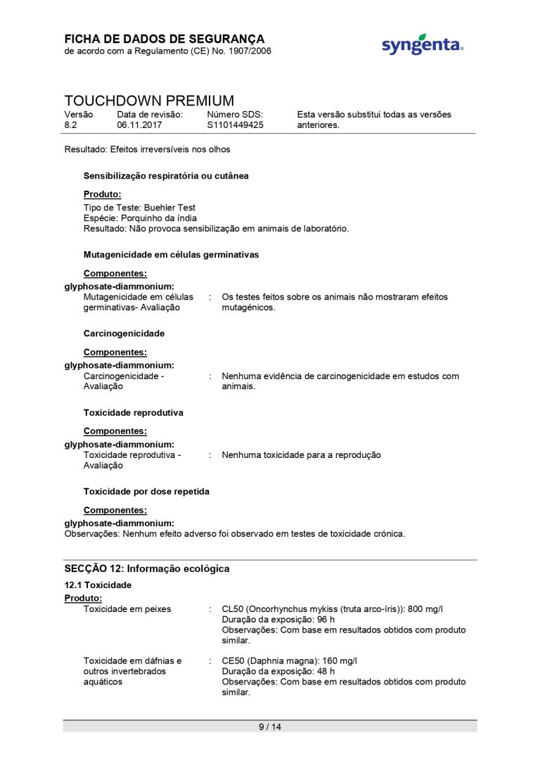 ficha-seguranca-touchdown-premium_page-0009